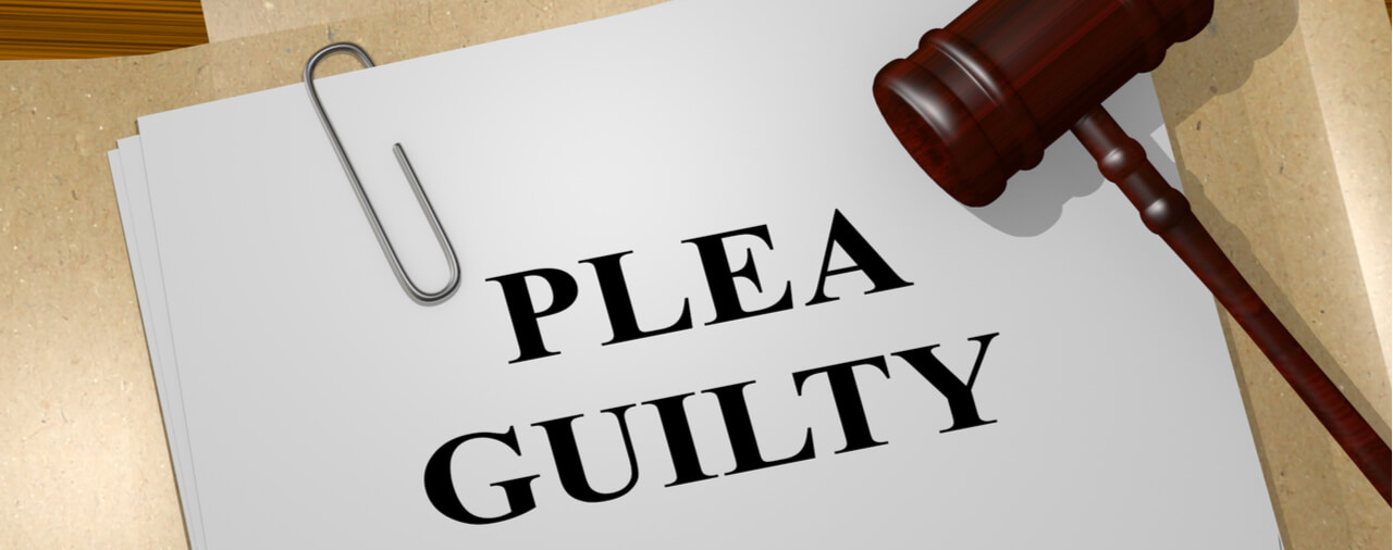 USCIS Announces Guilty Plea in Immigration Conspiracy Involving Fraud in the H1B Program