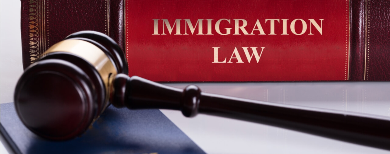&quot;New Immigration Law&quot; - Not So Fast!