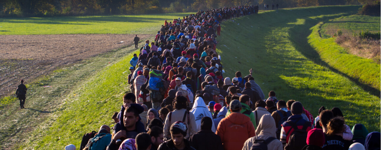 Refugee Status and Removal Proceedings